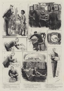Les poissons rouges de M. Goslynge, leur courte carrière scintillante